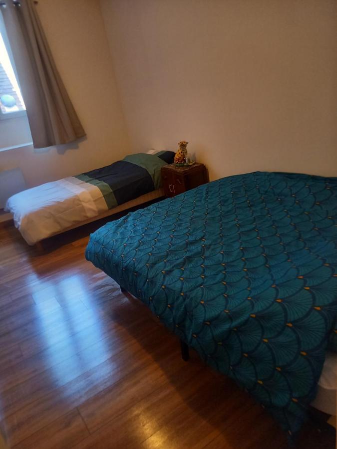 Logement Entier Spacieux Et Confortable A 1 H De Paris Courtenay  Εξωτερικό φωτογραφία